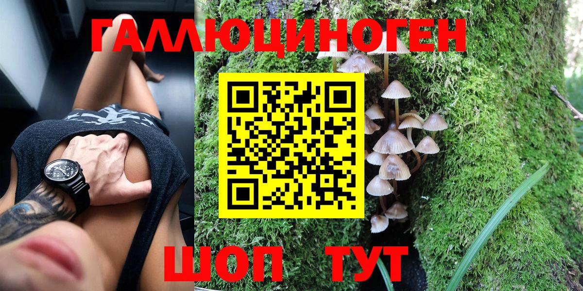 Татарск  Галлюциногенные грибы GOLDEN TEACHER  Псилоцибиновые грибы MAGIC MUSHROOMS  Вход с VPN 