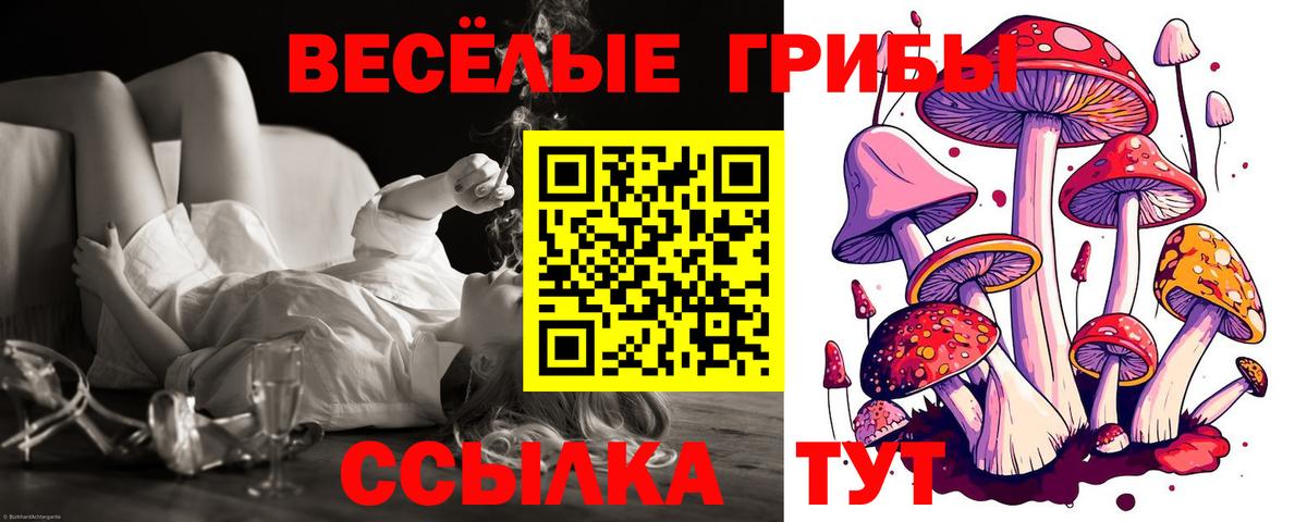 Псилоцибиновые грибы ЛСД Татарск